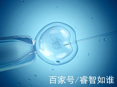 体外受精 IVF-ET